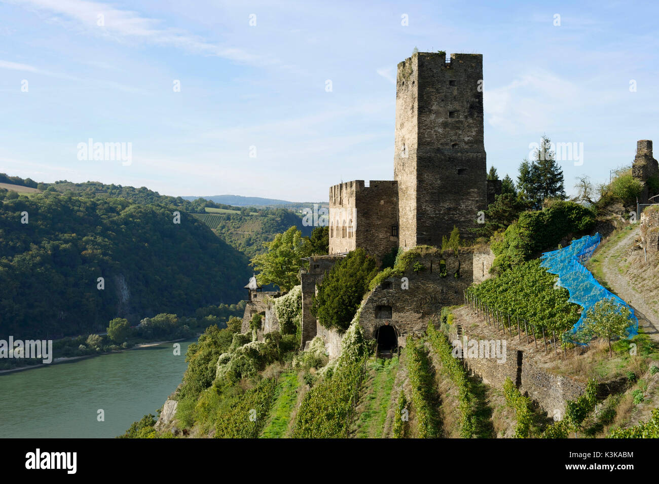 Germany, Rhineland-Palatinate, Kaub, (Burg) Gutenfels castle, the