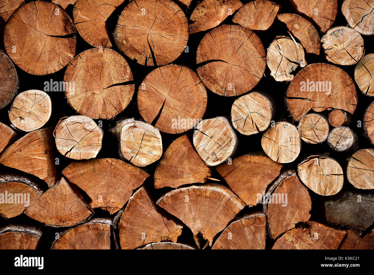 Sawed round wood logs stacked up on a wall Stock Photo