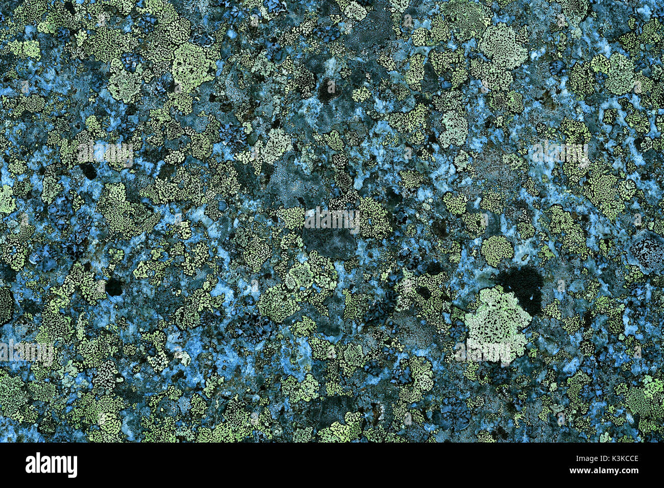 Green Lichens On A Rock Fragment In The Stubai Alps Stock Photo Alamy