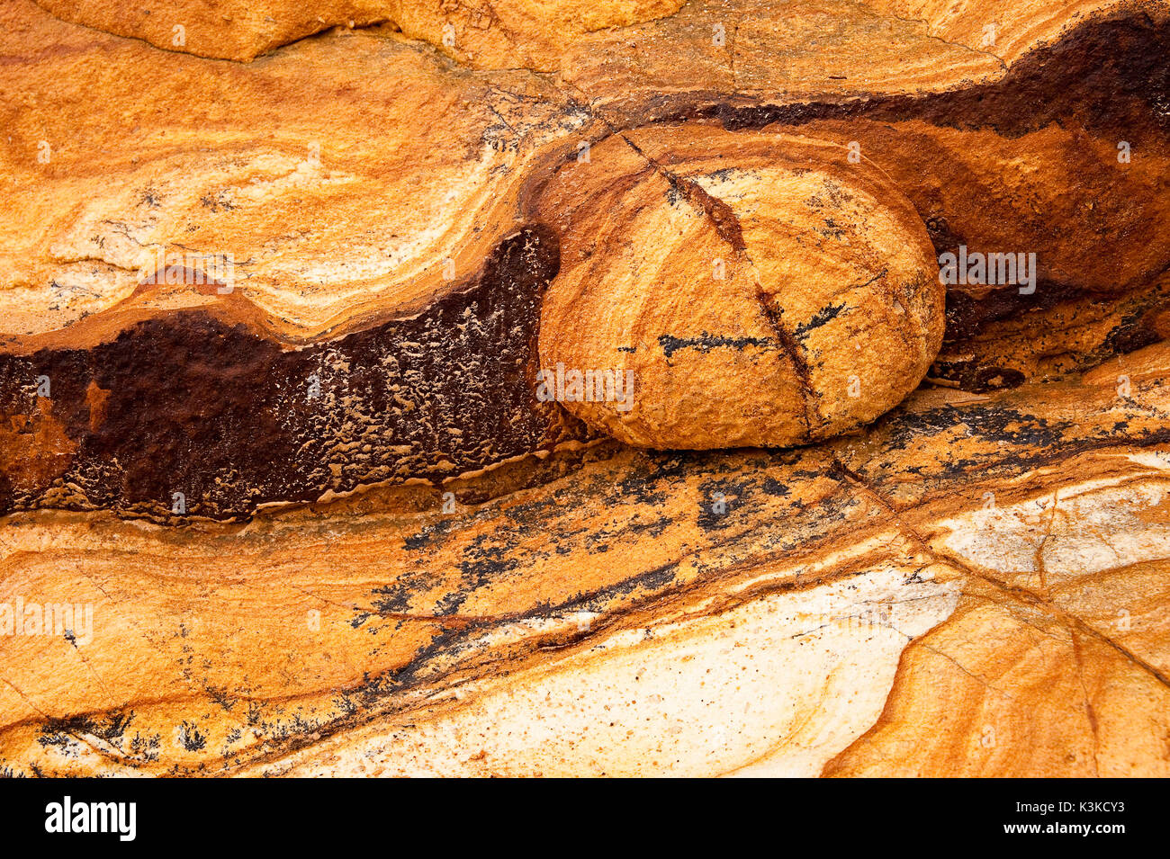 Sandstone with miraculous structures and forms in golden colour on a beach in New Zealand. A knob looks out like an animal eye. Stock Photo