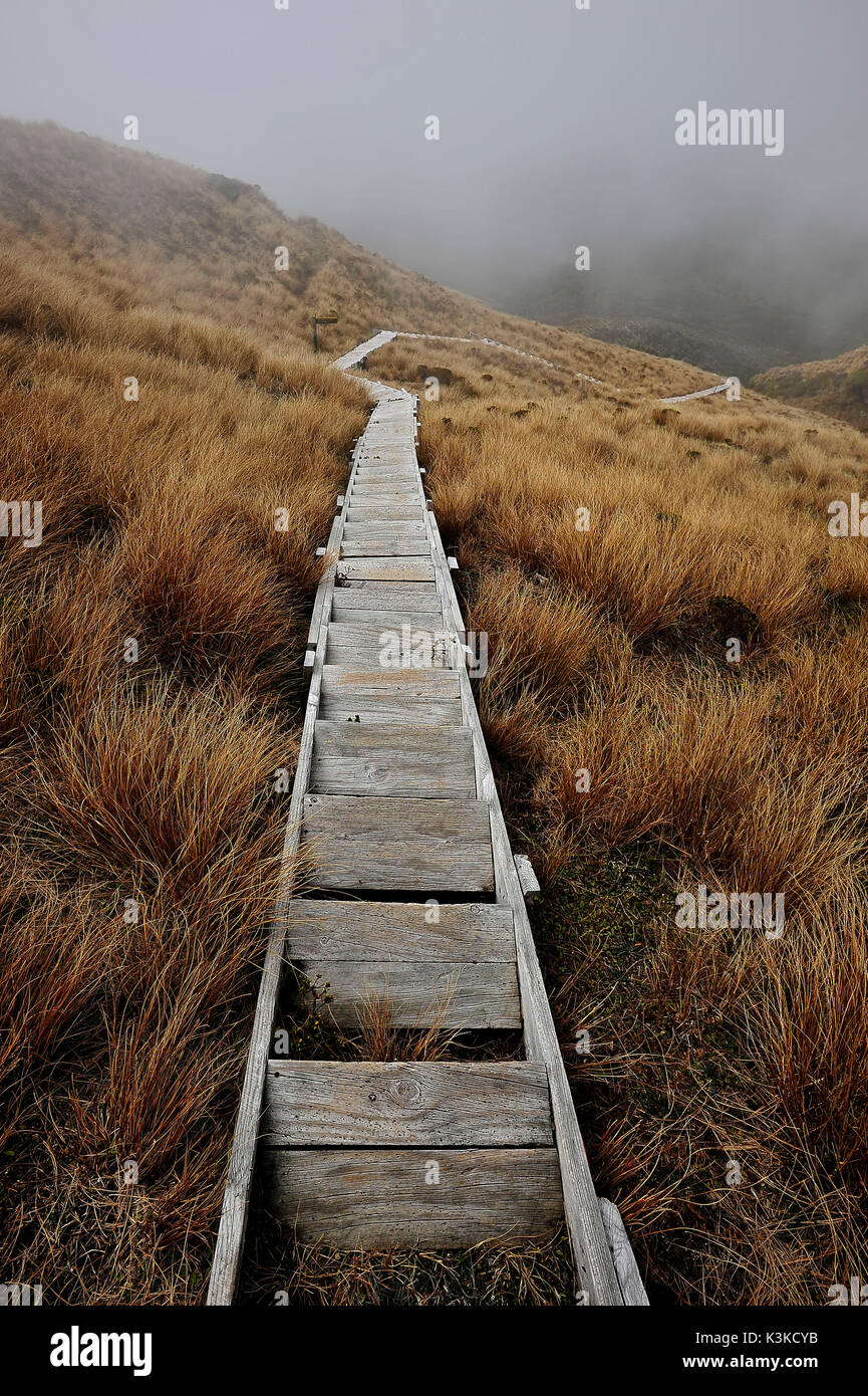 Stairs to the crater of the volcano Mount Taranaki or also as a Mount Egmont designates. In the valley rules thick fog. The wood narrow staircase is lined by a grass scenery. Stock Photo