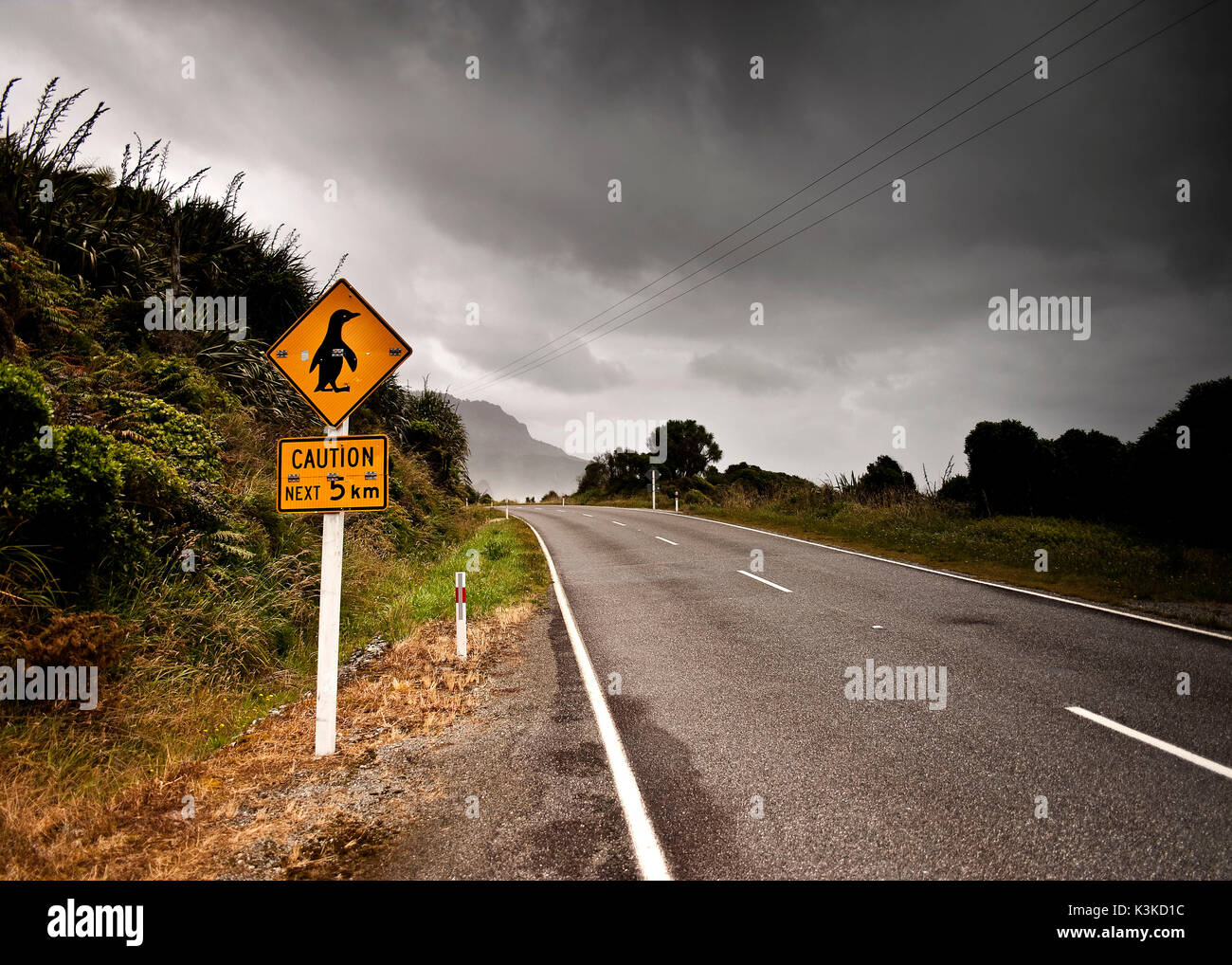Warning in front of deer crossing by penguins in New Zealand. Stock Photo