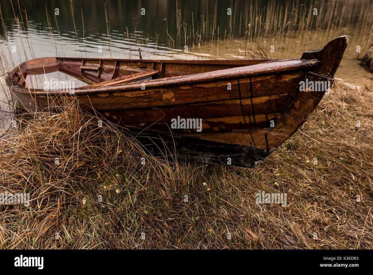 Old wooden boat lies on the shore of a reed-lined lake Stock Photo - Alamy
