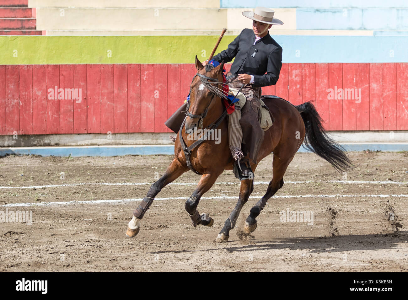toreador on horseback in the arena in Ecuador Stock Photo Alamy