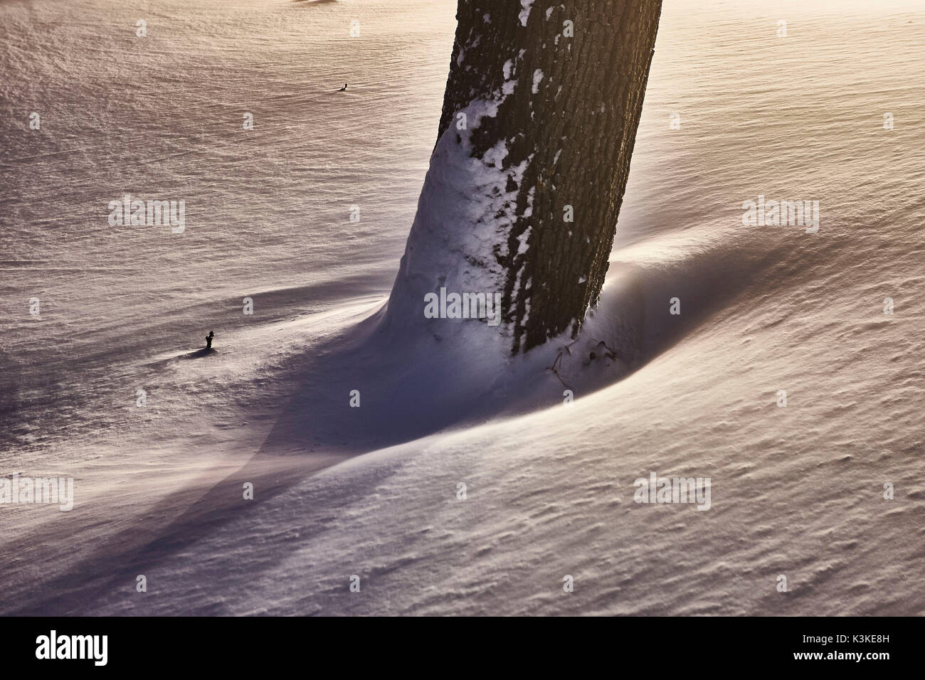 Trunk with snowdrift, light, artistically, medium close-up, detail Stock Photo