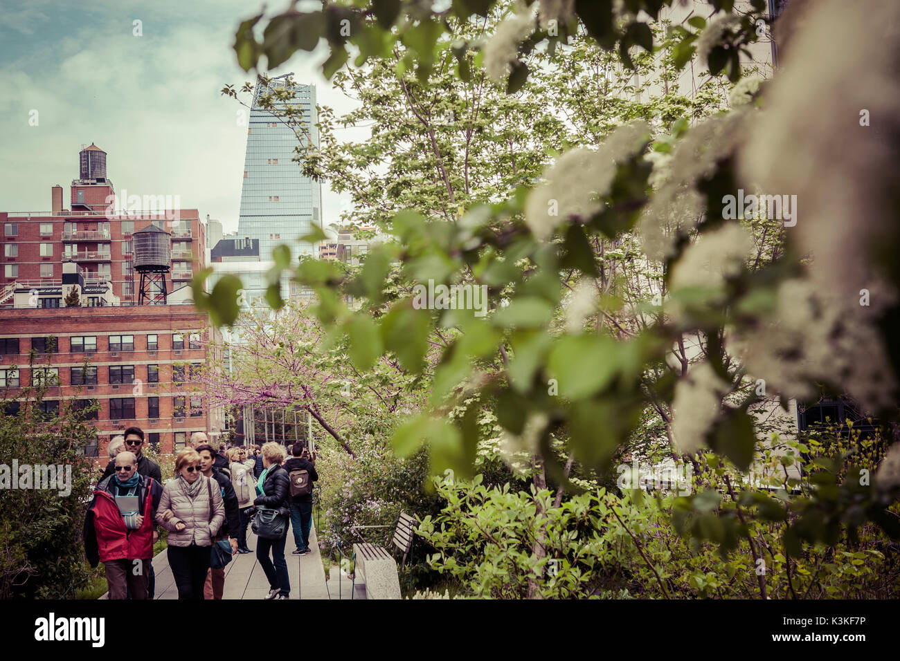 The High Line is a public park built on a historic freight rail line elevated above the streets on Manhattan's West Side. Chelsea, Art District, Tourist Attraction and Life Line of New York, Manhatten, USA Stock Photo