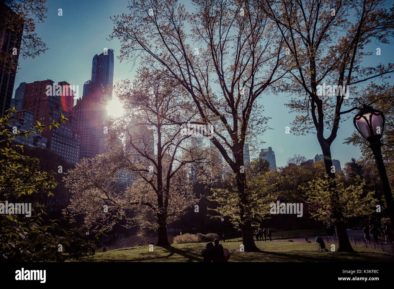 People relax in Central Park, most visited urban park United States, Manhatten, New York, USA Stock Photo