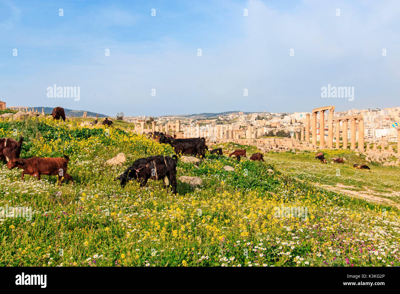 Ruins of the ancient Jerash, the Greco-Roman city of Gerasa in modern Jordan Stock Photo