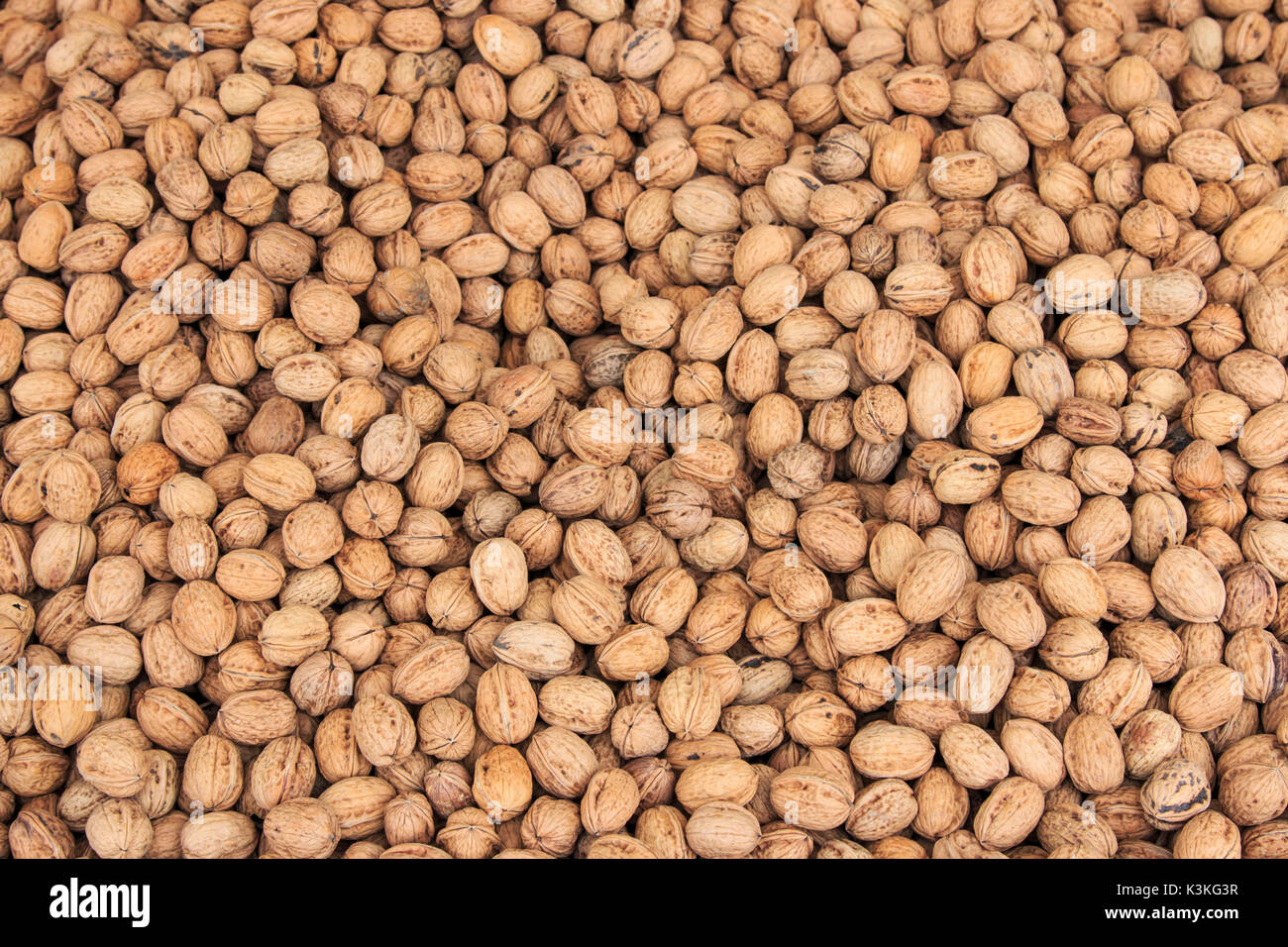 Close up of a group of Walnuts, Italy Stock Photo
