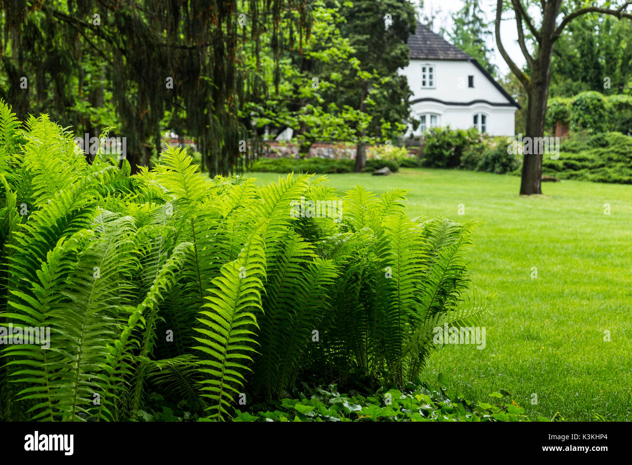 Europa, Poland, Voivodeship Masovian, Zelazowa Wola Birthplace of