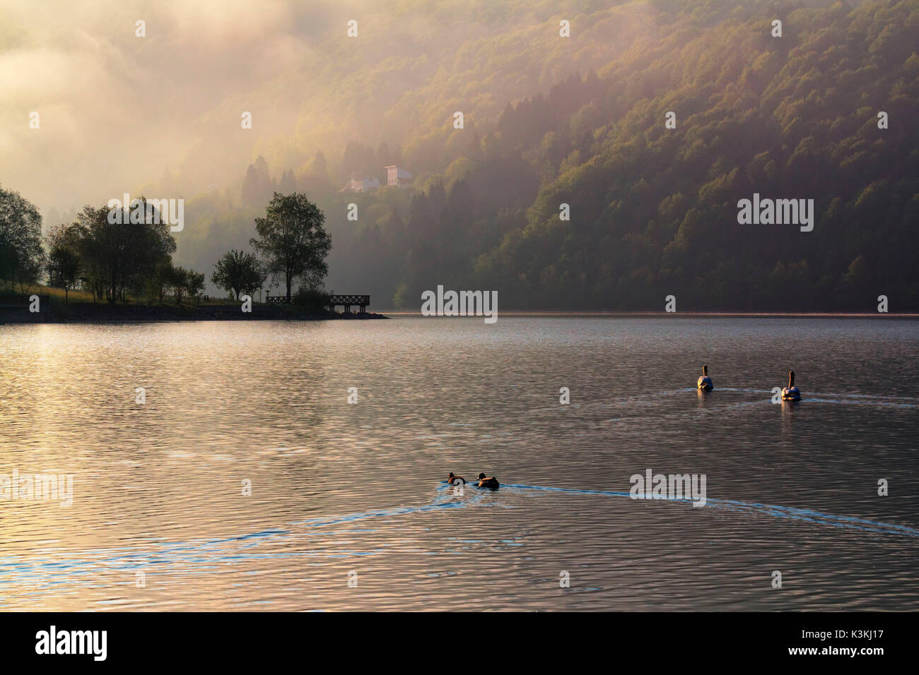 Europe, Italy, Friuli, Pordenone. The tranquility of Barcis lake in Cellina valley Stock Photo