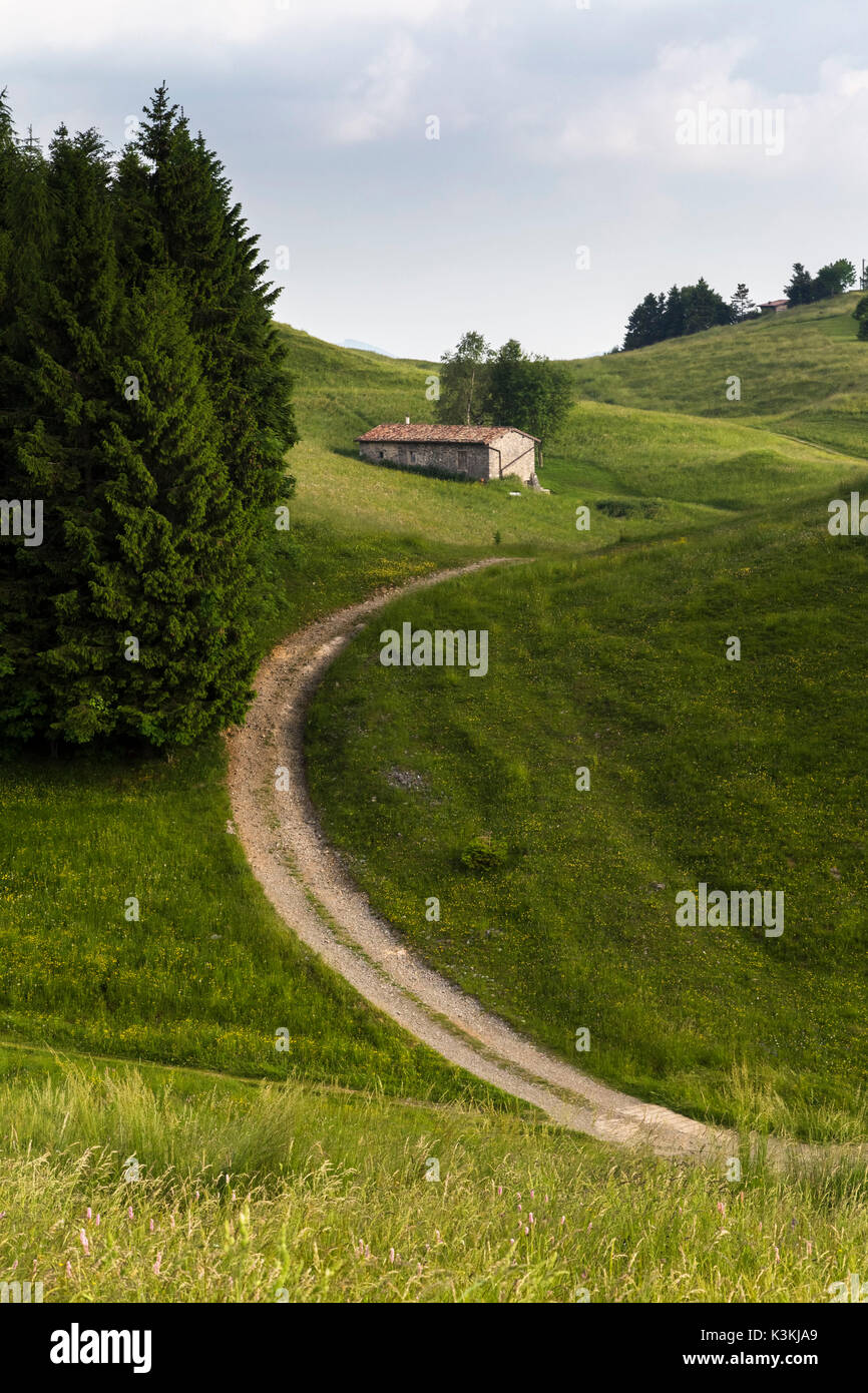 Trails on the green hills of Monte Farno in spring, Gandino, Valgandino, Val Seriana, Bergamo province, Lombardy, Italy. Stock Photo