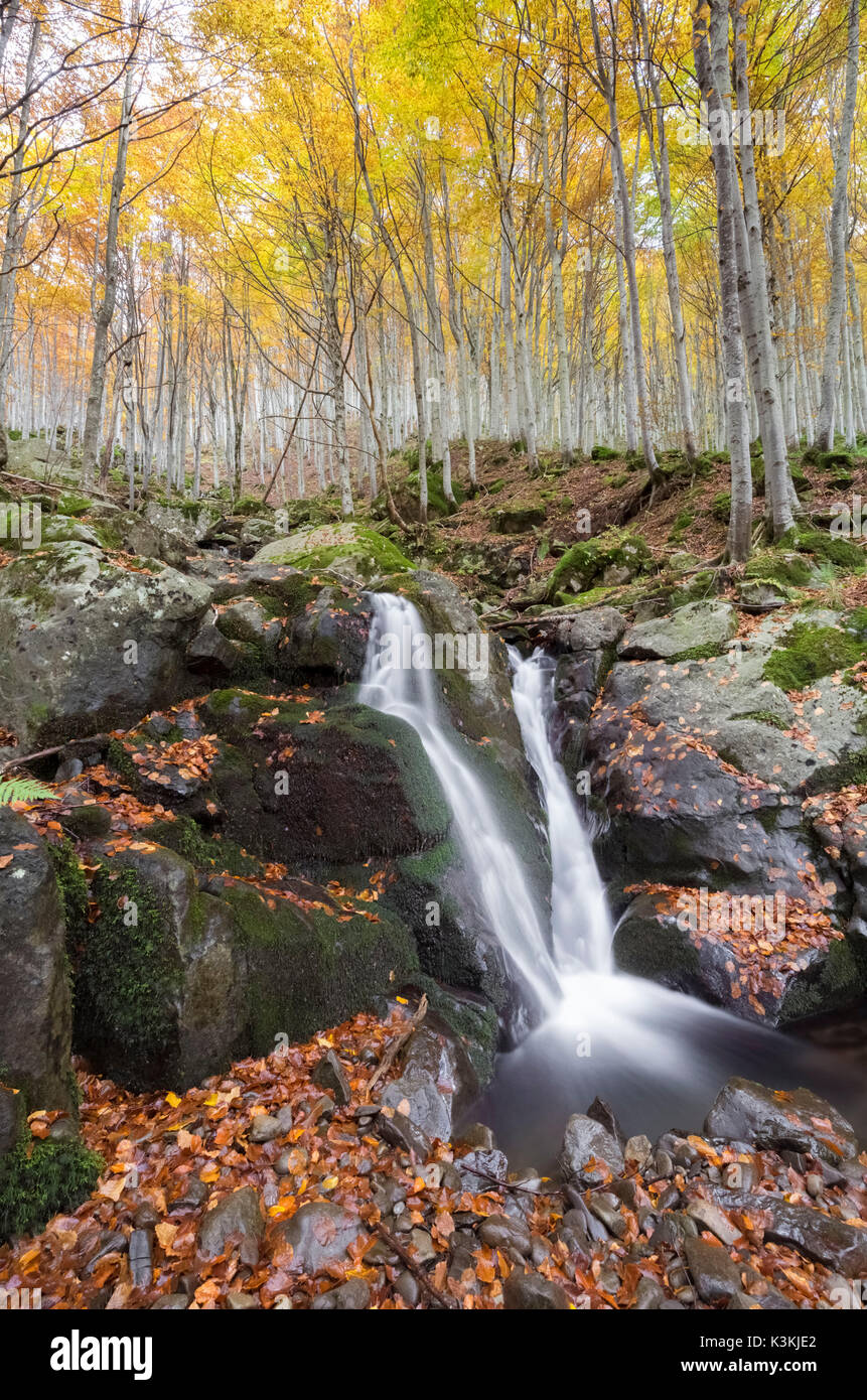 Dardagna waterfalls in autumn, Corno Alle Scale Regional Park, Lizzano in Belvedere, Emilia Romagna, Italy. Stock Photo