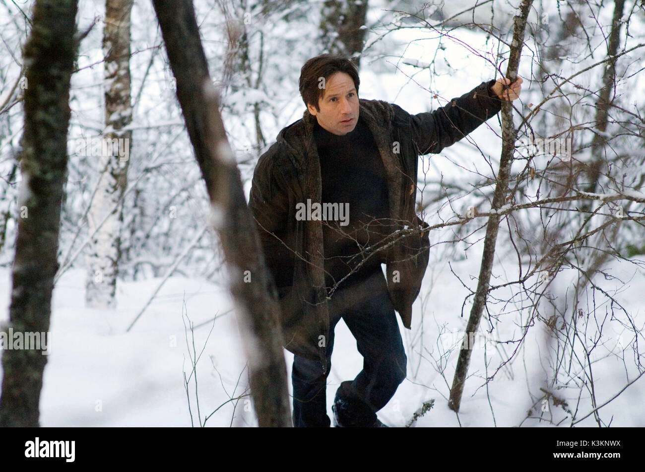 THE X FILES: I WANT TO BELIEVE  DAVID DUCHOVNY as Fox Mulder       Date: 2008 Stock Photo