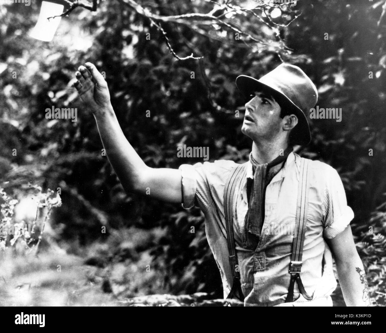 PICNIC AT HANGING ROCK JOHN JARRATT Stock Photo Alamy