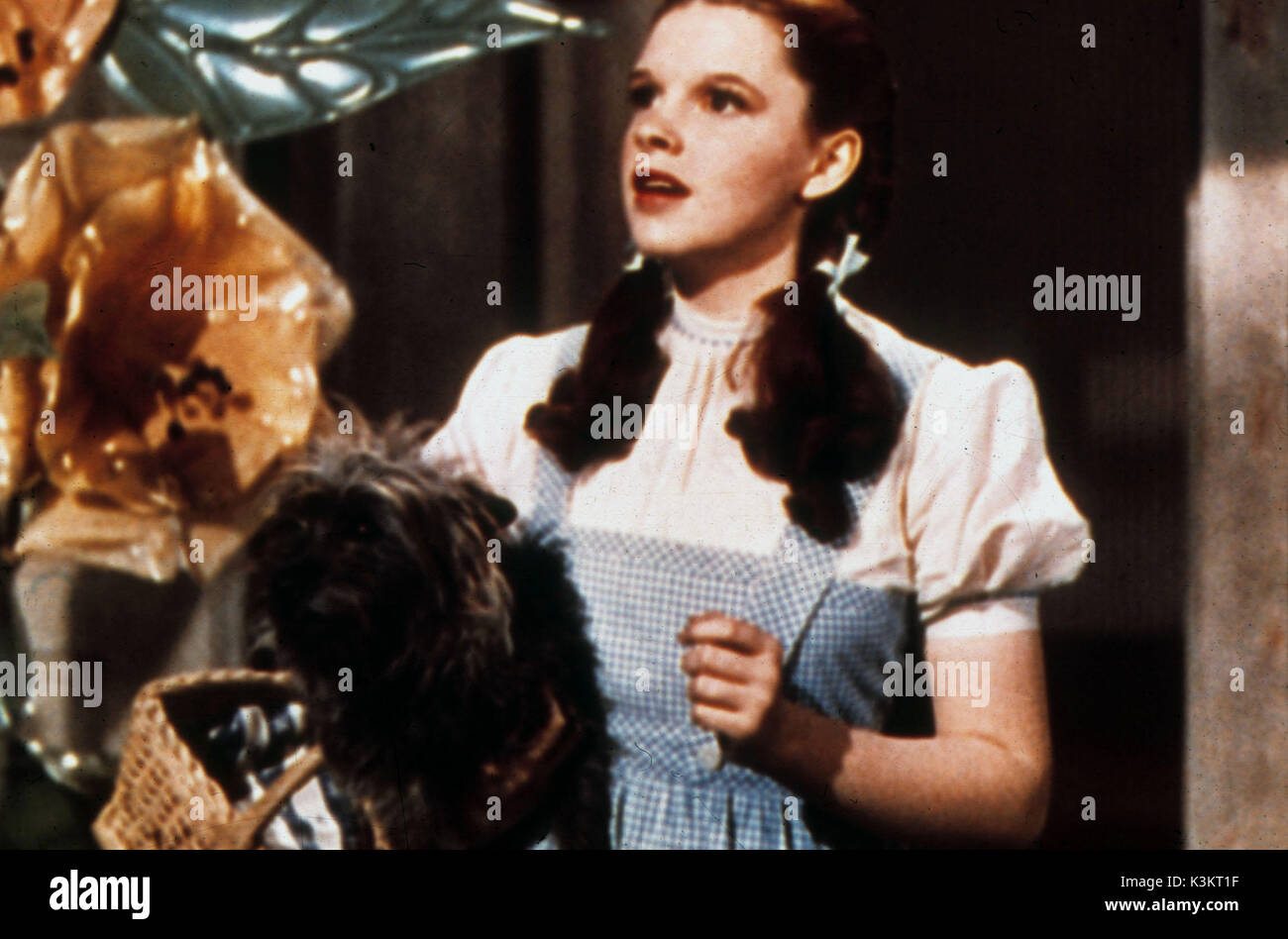 THE WIZARD OF OZ JUDY GARLAND as Dorothy       Date: 1939 Stock Photo