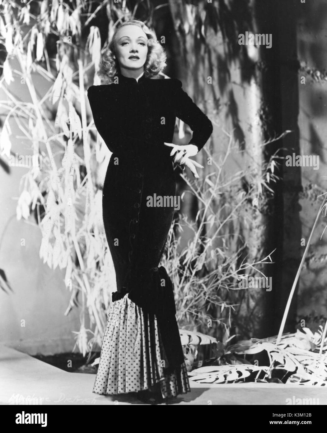 MARLENE DIETRICH German born film actress Stock Photo - Alamy
