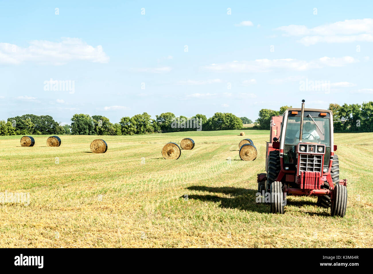Hay Bale Agriculture Straw Haystack Stock Photo Alamy