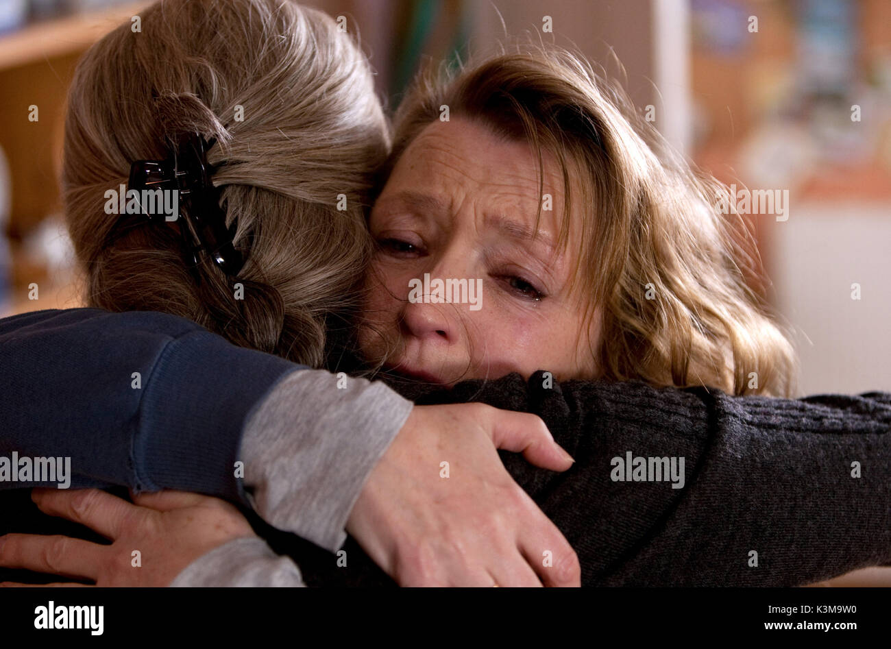 ANOTHER YEAR Lesley Manville  ANOTHER YEAR Lesley Manville        Date: 2010 Stock Photo