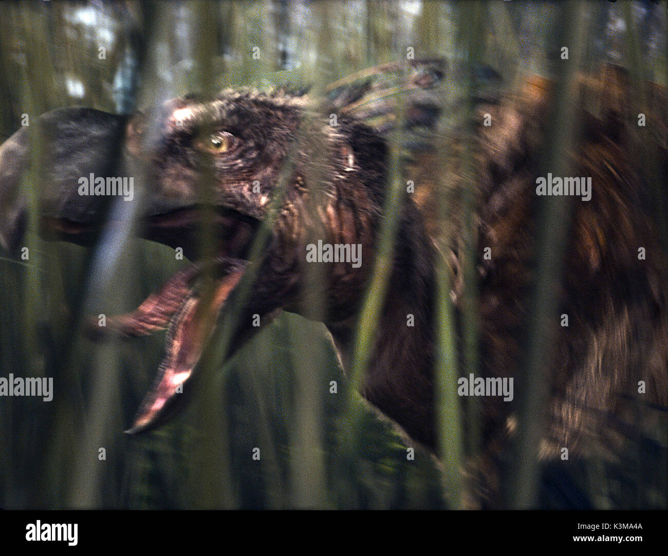 10,000 BC [US / ZA 2008] Date: 2008 Stock Photo - Alamy