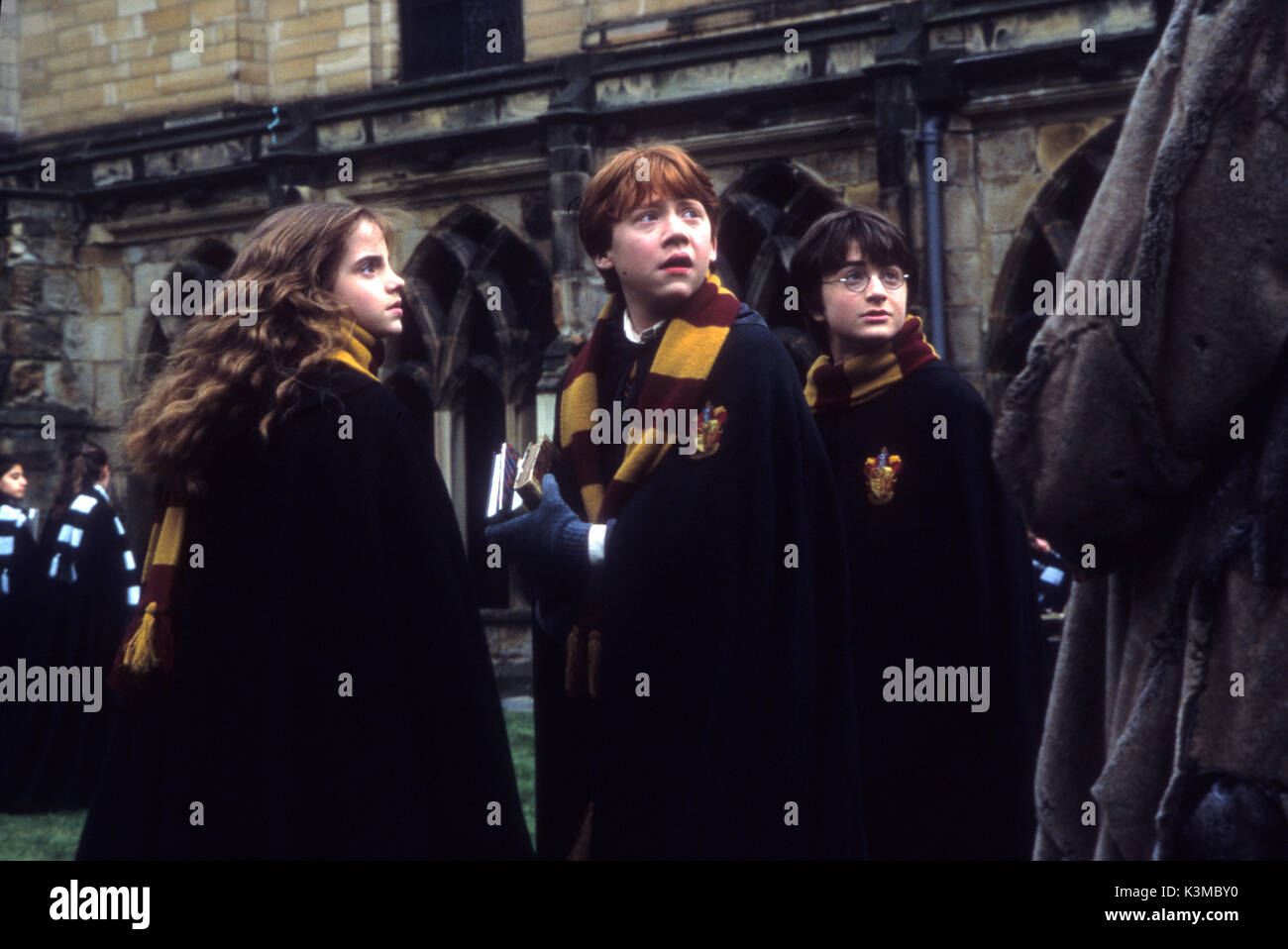 hermione granger a ron weasley dating