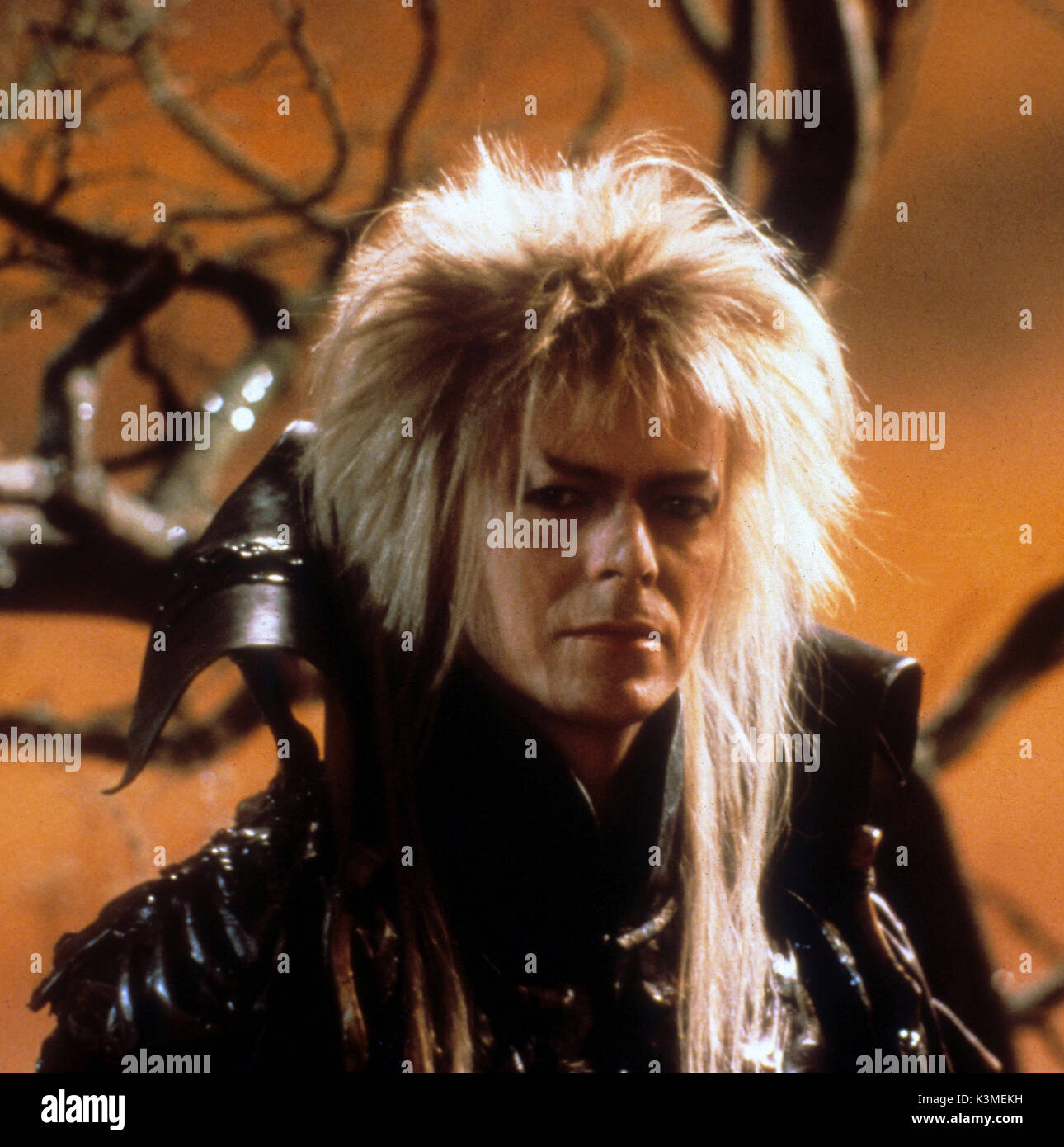 Jareth The Goblin King Labyrinth Wiki Fandom 59 OFF
