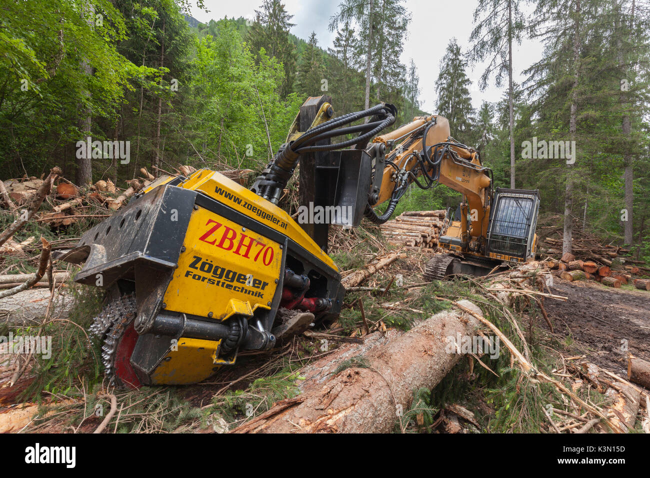 Timber processing hi-res stock photography and images - Alamy