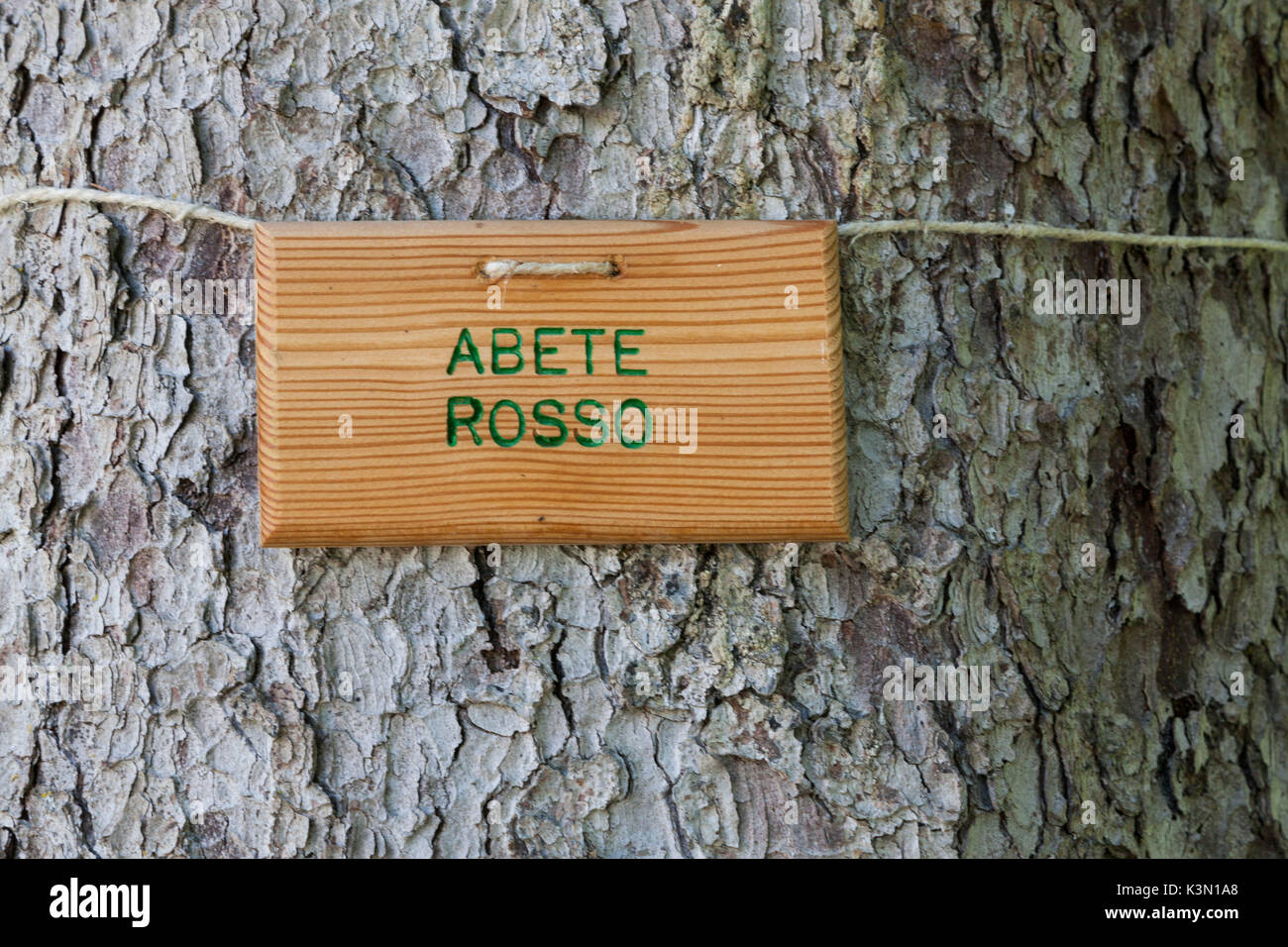 Europe, Italy, Veneto, Belluno. Information boards about the different types of bark, Vincheto di Celarda Natural Reserve, Feltre, Dolomites Stock Photo