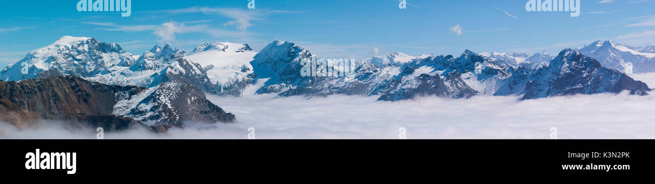 Ortles and Stelvio's peaks are rising over the clouds, high Valtellina, Lombardy, Stelvio National Park Stock Photo