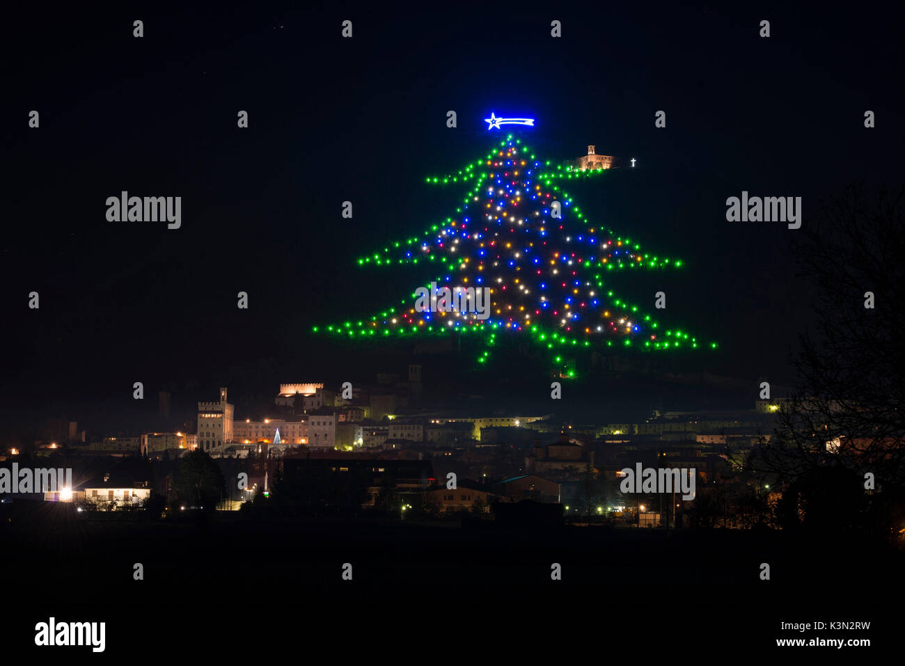 Biggest tree hires stock photography and images Alamy