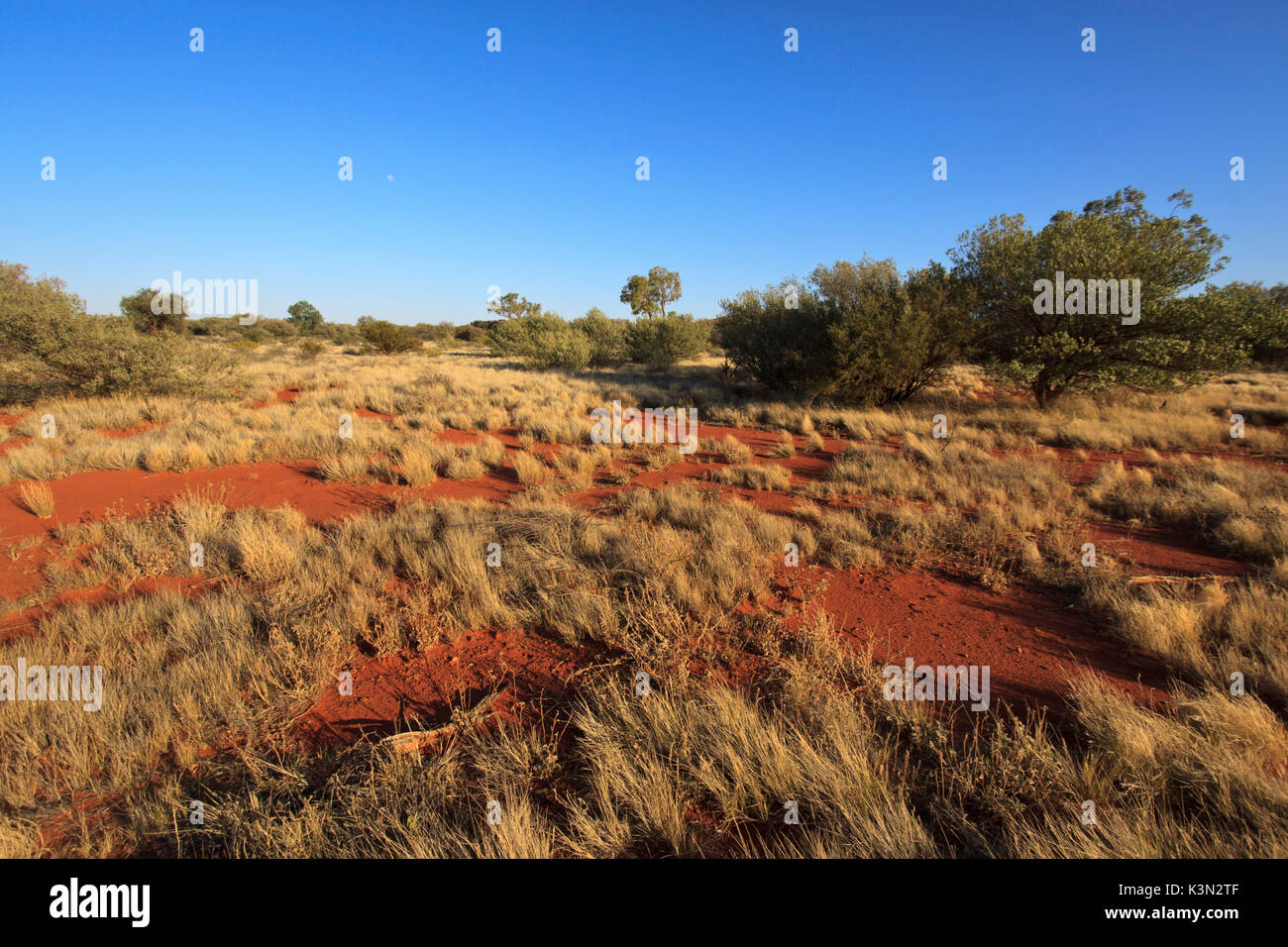 Outback Landscape in Australia Stock Photo