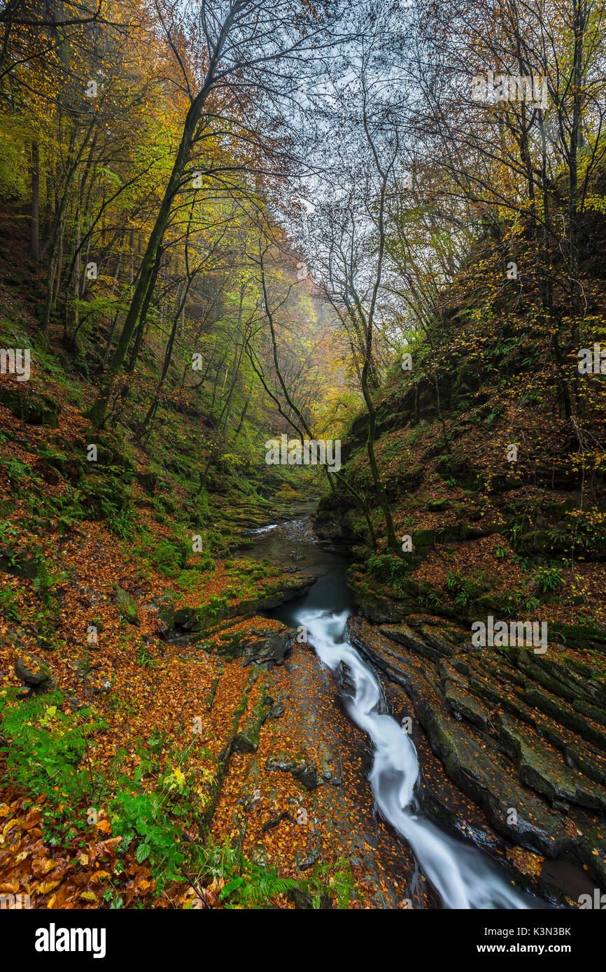 Autumn on the river Breggia, near Bruzella, Muggio Valley, Mendrisio District, Canton Ticino, Switzerland. Stock Photo