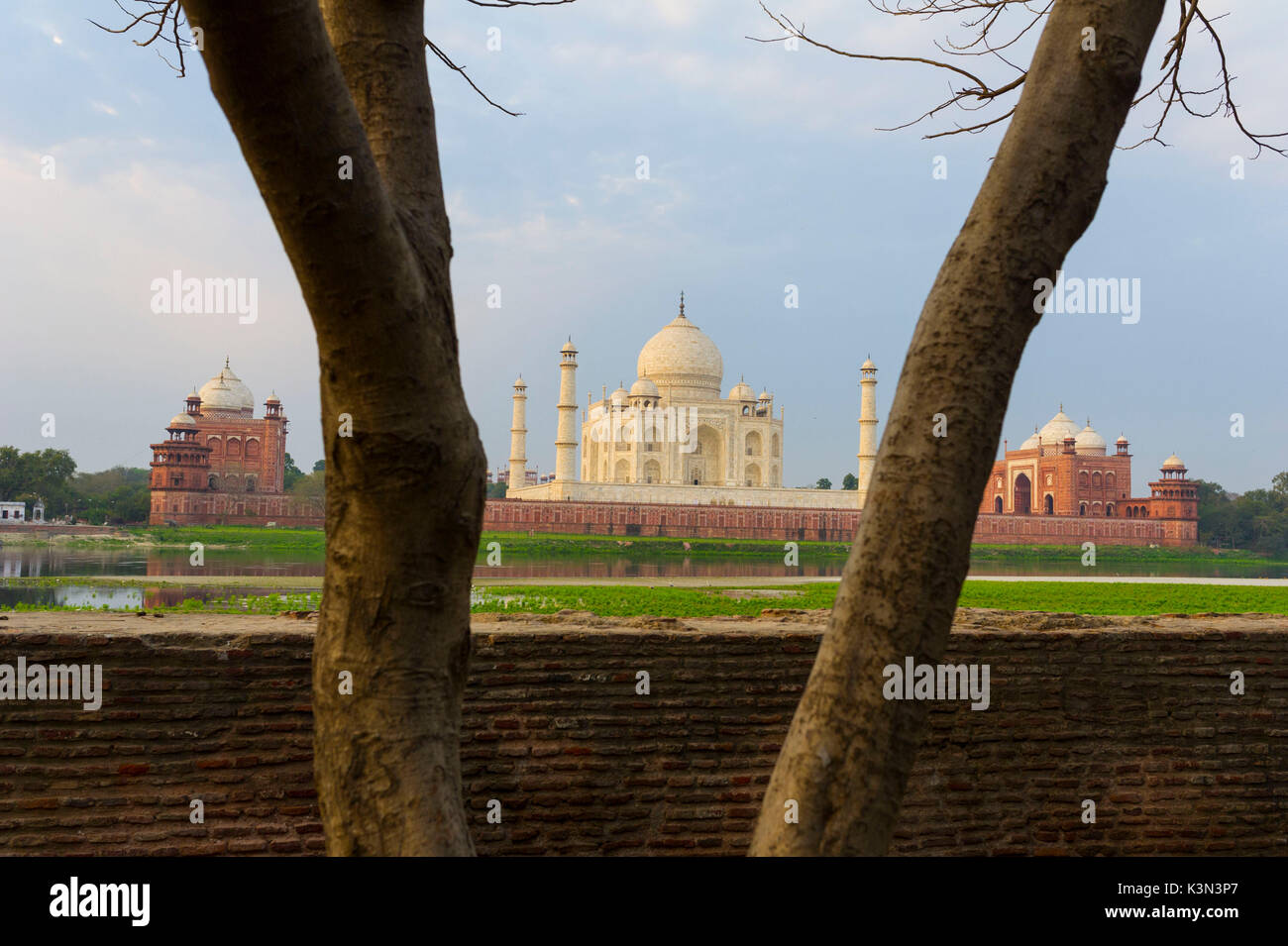 Agra, India, Asia. Taj Mahal. Stock Photo