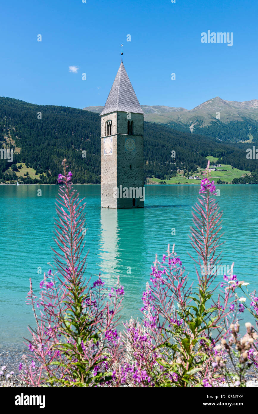 Curon/Graun, Venosta Valley, South Tyrol, Italy. The bell tower in Reschensee Stock Photo