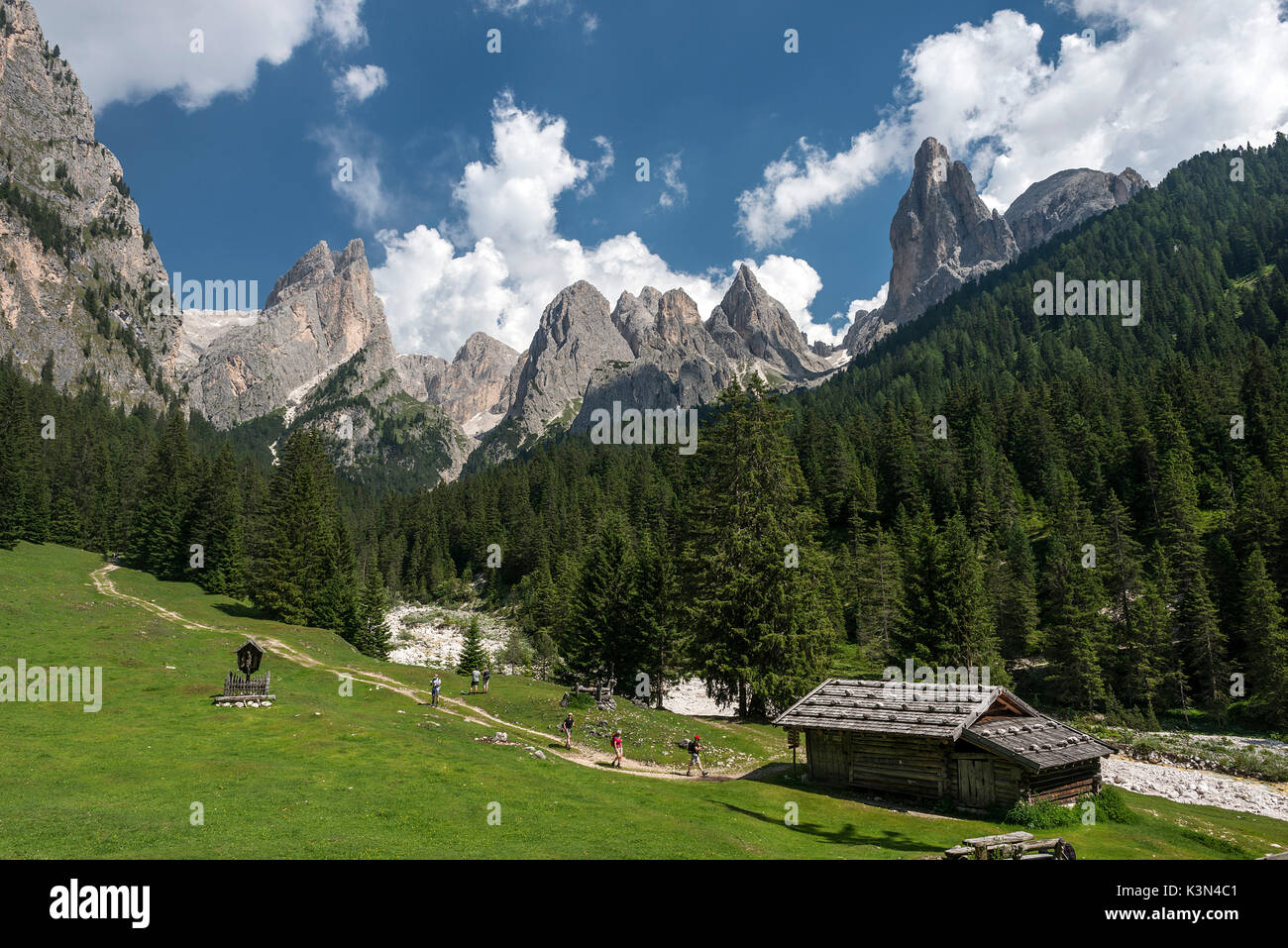 Tires/Tiers, Dolomites, South Tyrol, Italy. In the Ciamin Valley Stock Photo