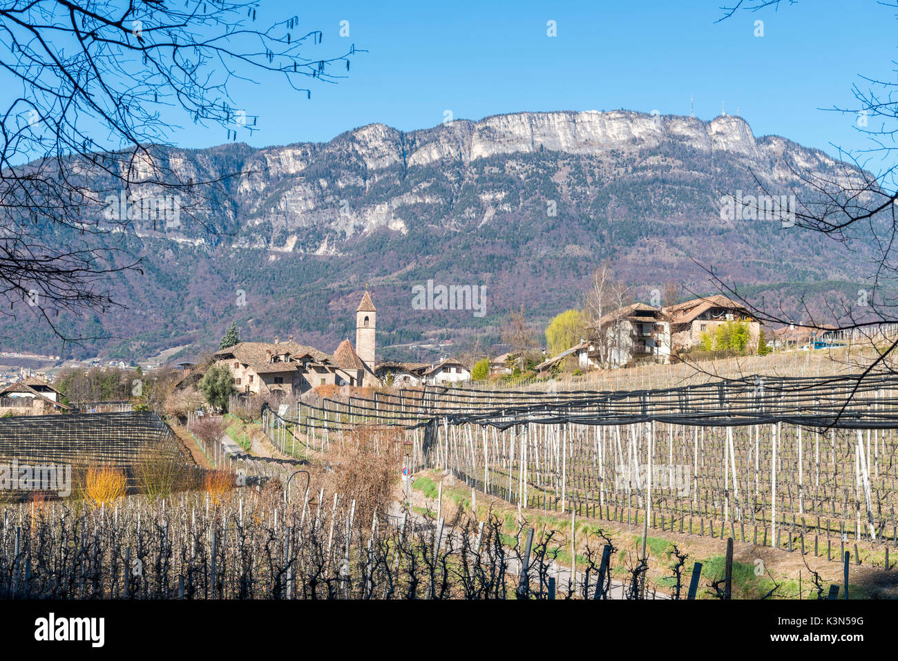 Caldaro/Kaltern, Bolzano province, South Tyrol, Italy. The small village of Monticolo/Montiggl Stock Photo