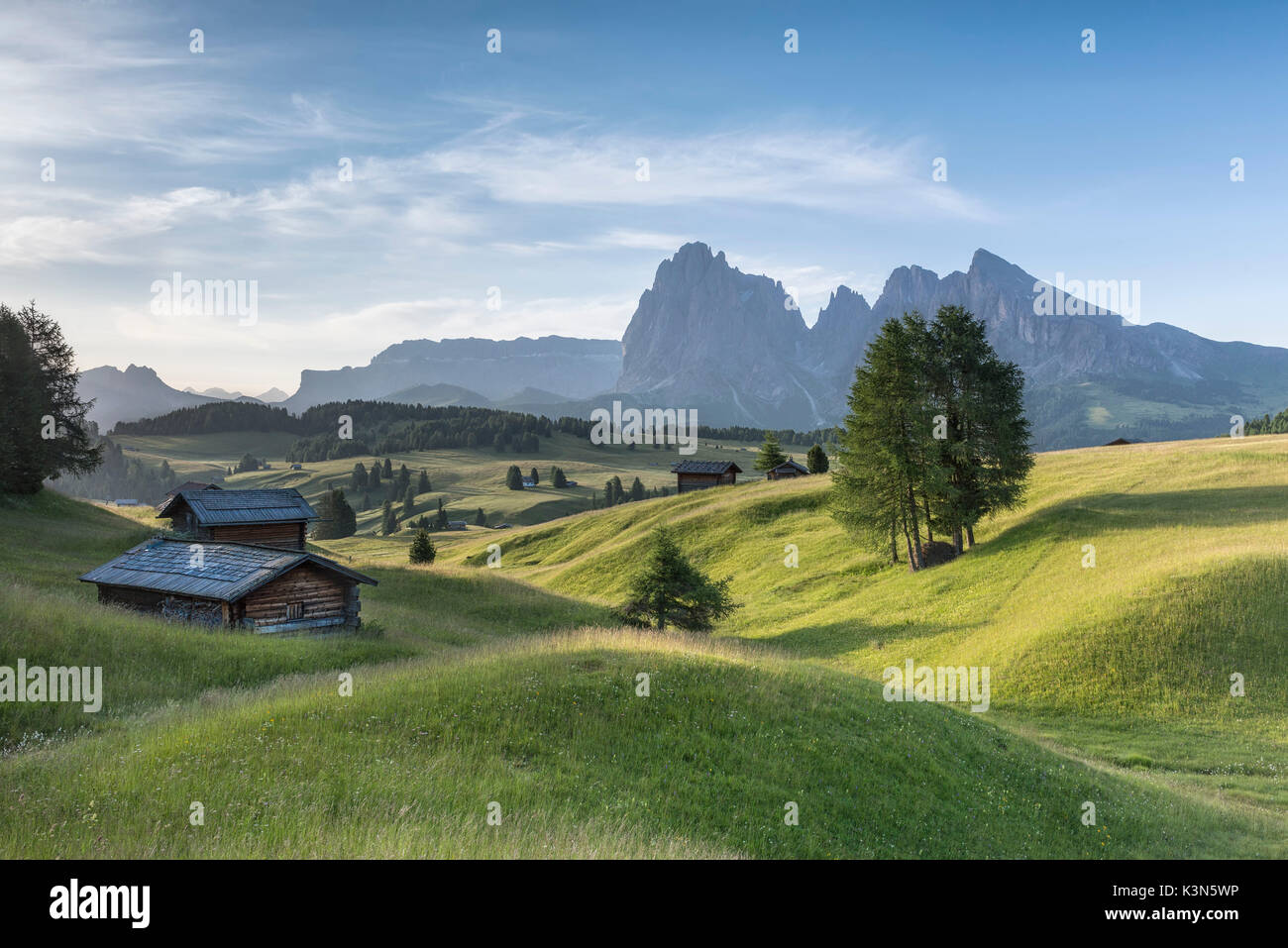 Alpe di Siusi/Seiser Alm, Dolomites, South Tyrol, Italy. Summer landscape on the Alpe di Siusi/Seiser Alm with the peaks of Sassolungo / Langkofel and Sassopiatto / Plattkofel Stock Photo