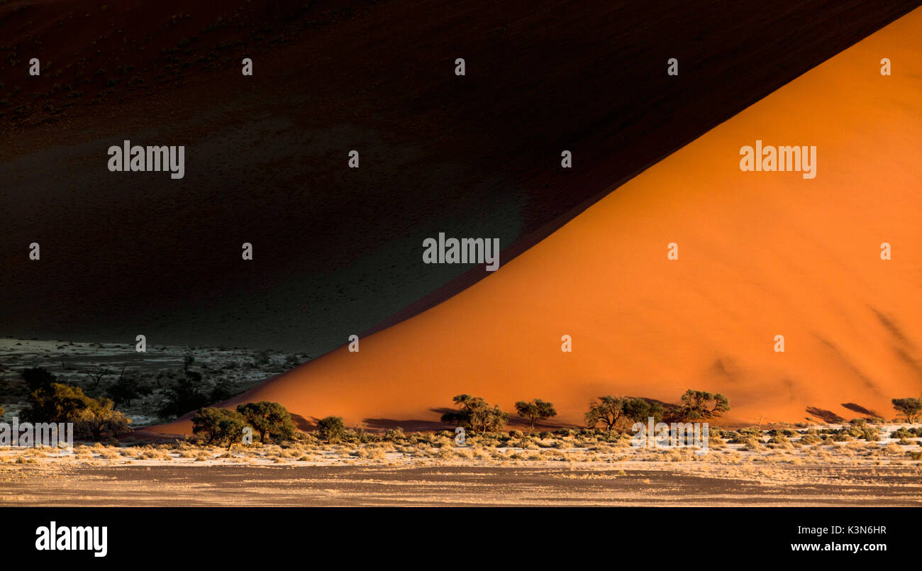 Sunrise from dune 45 in Sossuvlei, Namib Naukluft National Park. Contrast on dunes enhanced by early morning lights. Stock Photo