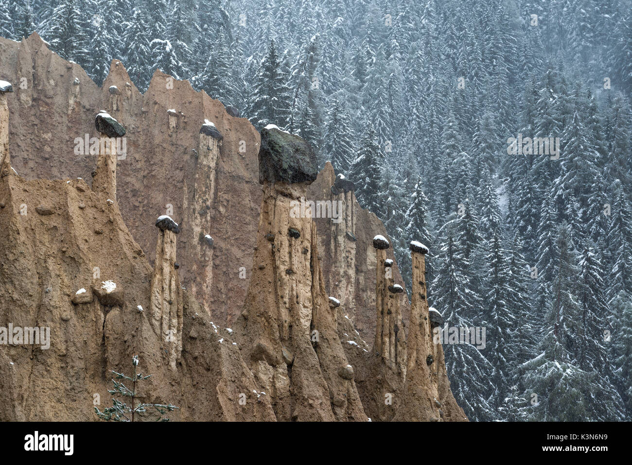 Perca/Percha, South Tyrol, Italy. The Earth Pyramids Stock Photo