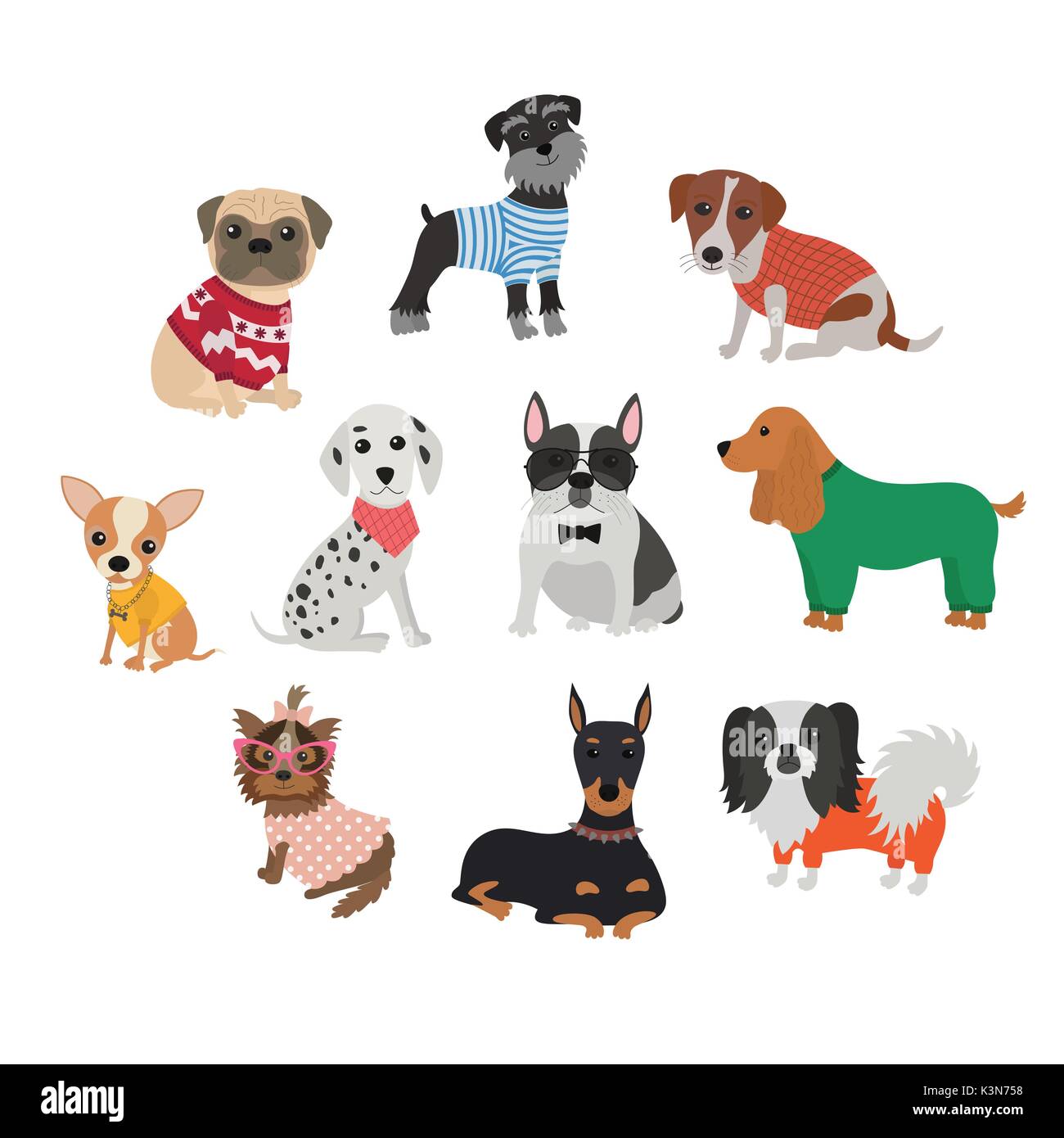 Set of different breeds of dogs in clothing and accessories Stock ...