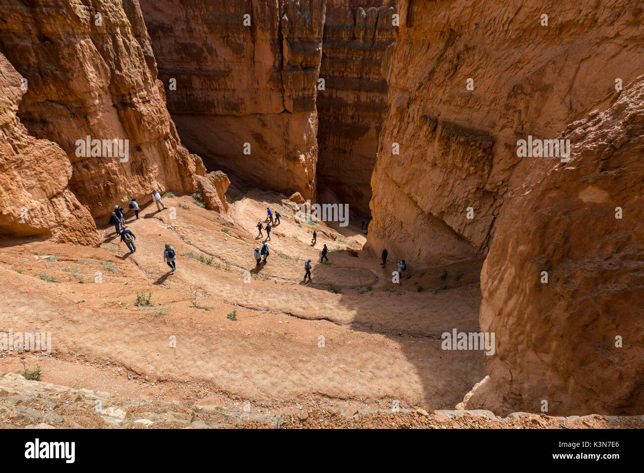 Hikers on Wall Street section of Navajo Loop Trail. Bryce Canyon National Park, Garfield County, Utah, USA. Stock Photo