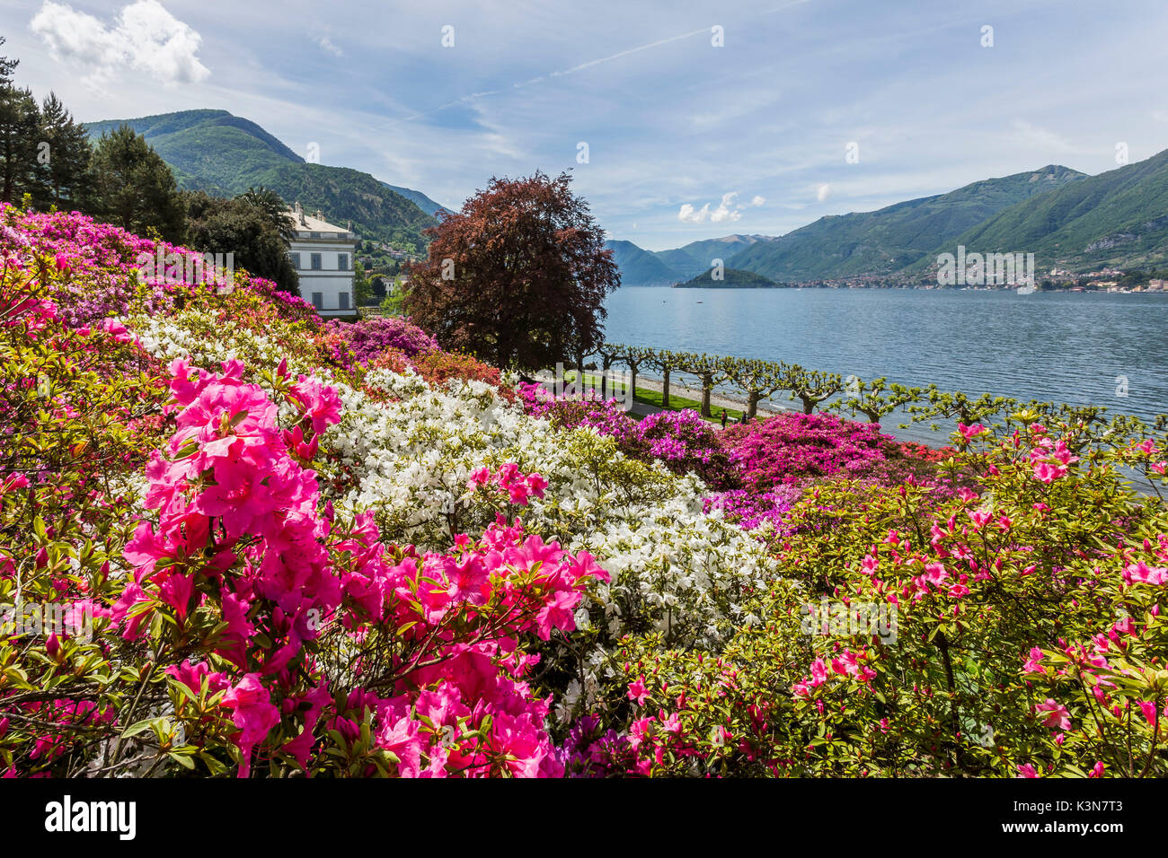 Flowers in the gardens of Villa Melzi d'Eril in Bellagio, Lake Como, Lombardy, Italy. Stock Photo