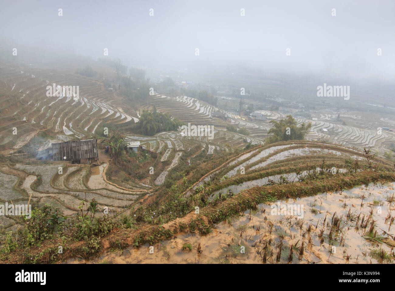 Isolated house among the rice terraces of Sapa in north Vietnam Stock Photo