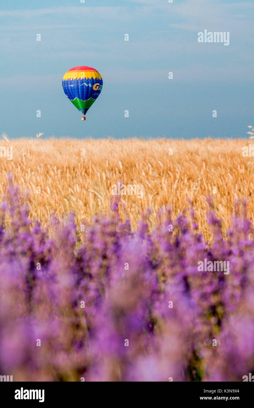 France, Provence Alps Cote d'Azur, Haute Provence, Plateau of Valensole. hot air ballon in Provence Stock Photo