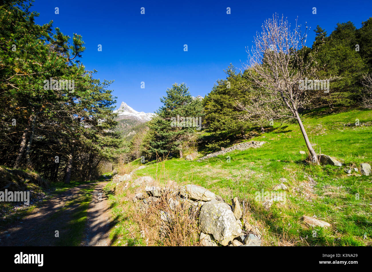 Val Chalamy, Mont Avic Natura Park, Aosta Valley, Italy Stock Photo