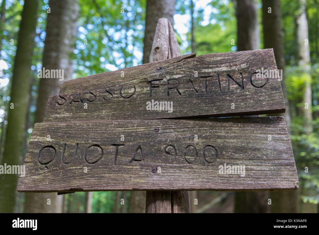 Signboard of Quota 900, the hearth of Sasso Fratino Integral Natural Reserve, Emilia Romagna district, Italy Stock Photo