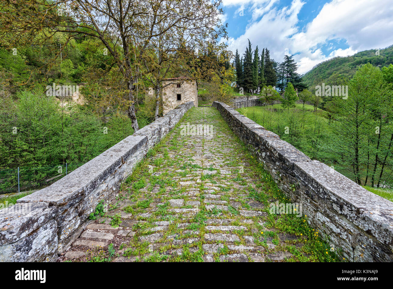 Old bridge and house in a sunny day, Campigna, Casentinesi forests, Emilia-Romagna, Italy Stock Photo