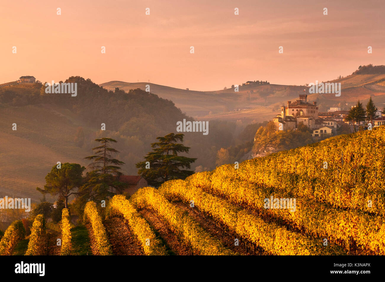 Italy, Piedmont, Cuneo District, Barolo, Langhe Barolo at sunrise Stock Photo