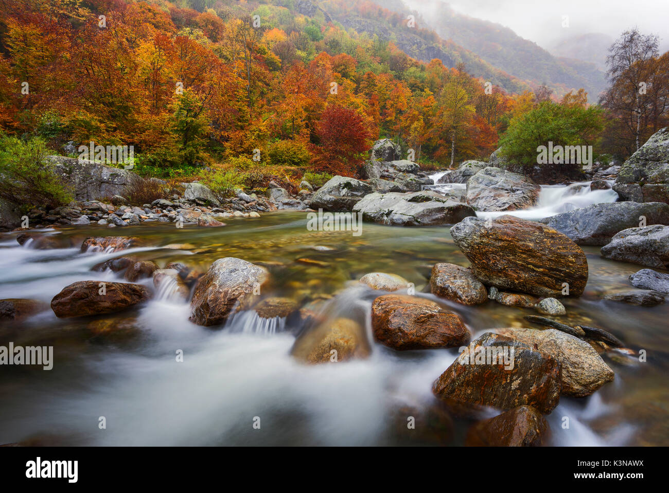 Italy, Piedmont, Cuneo District, Gesso Valley, Alpi Marittime Natural Park, autumnal colors in the Gesso Valley Stock Photo