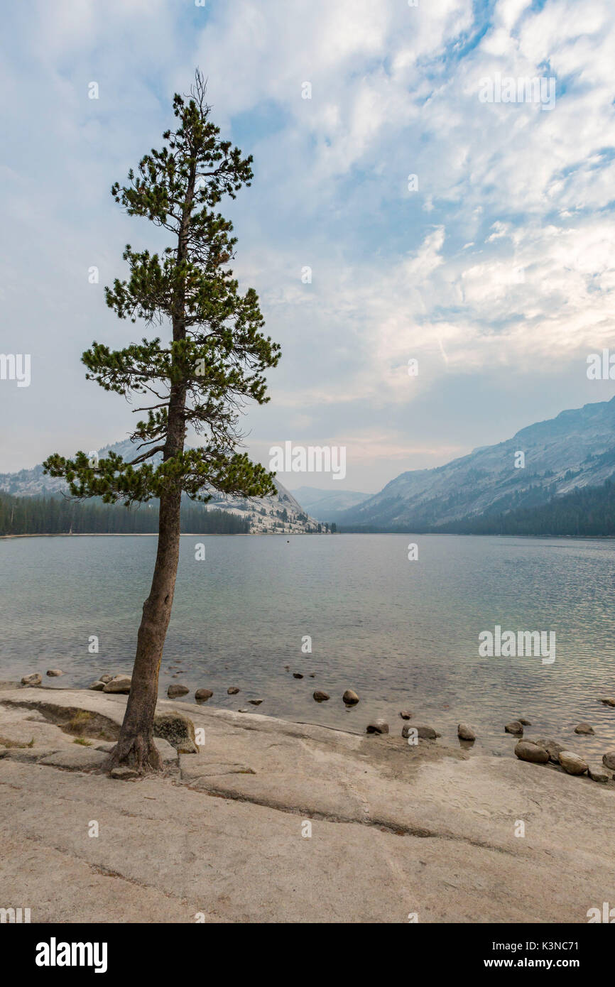 Tenaya Lake, Yosemite National Park, Mariposa County, California, USA. Stock Photo